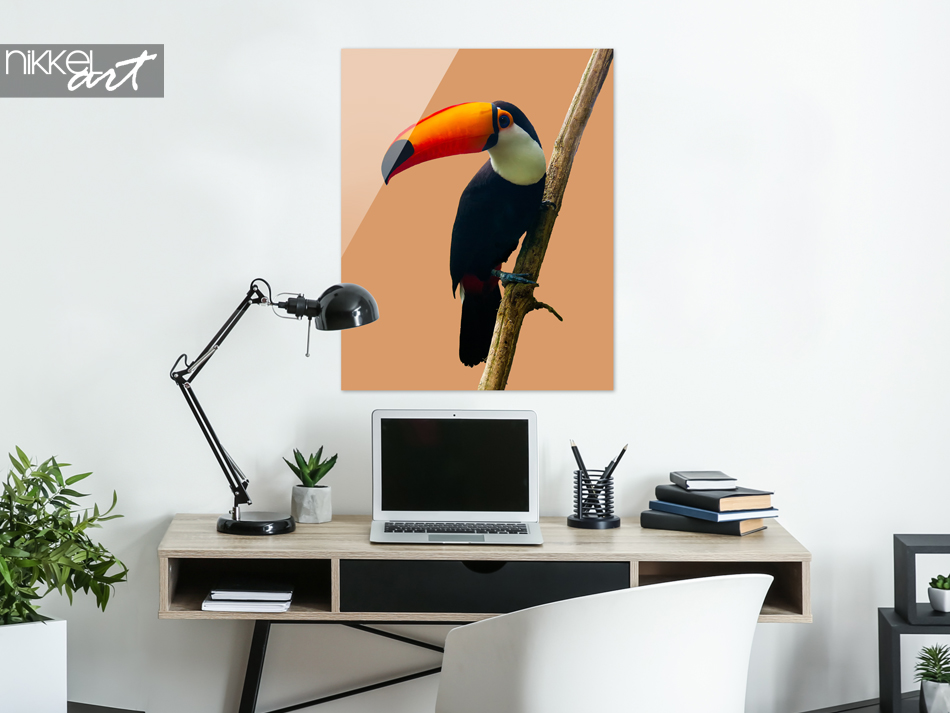 Glazen Schilderij Toucan
